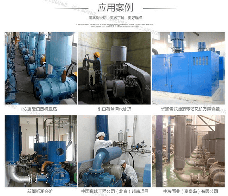 开云体育 开云官网三叶罗茨风机输送粉_罗茨鼓风机(图3)